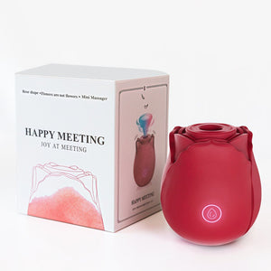 Rose Air-Pulse Vibrator - 10 Modes by Seductiva
